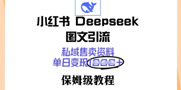 小红书Deepseek图文引流，私域售卖资料，单日变现多张，保姆级教程-小才子资源