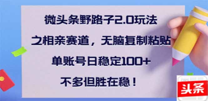 （14334期）微头条野路子2.0玩法之相亲赛道，无脑搬砖复制粘贴，单账号日稳定300+…-小才子资源