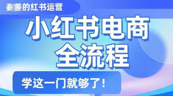 小红书电商全流程，精简易懂，从入门到精通，学这一门就够了-小才子资源