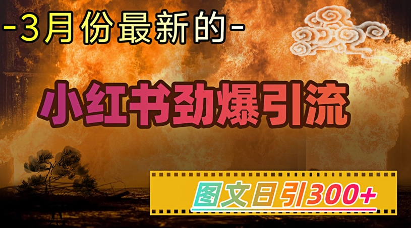 小红书超劲爆引流手段，图文日引300+轻松变现1W-小才子资源