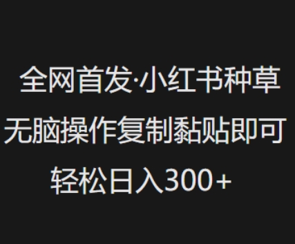 全网首发，小红书种草无脑操作，复制黏贴即可，轻松日入3张-小才子资源
