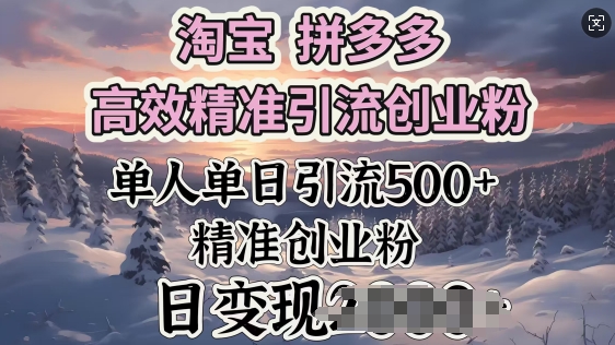 淘宝拼多多高效精准引流创业粉，单人单日引流500+创业粉，日变现多张-小才子资源