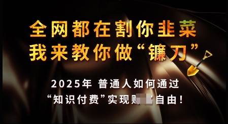 知识付费如何做到月入过W+，2025我来教你做“镰刀”【揭秘】-小才子资源