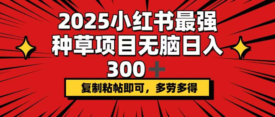 （14375期）2025小红书最强种草项目，无脑日入300+，复制粘帖即可，多劳多得-小才子资源
