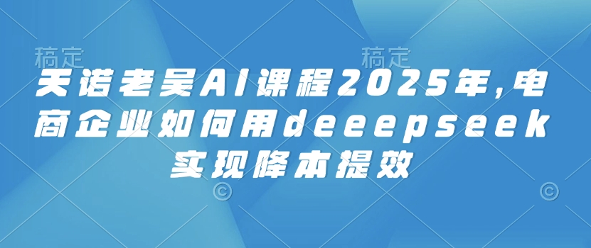 天诺老吴AI课程2025年，电商企业如何用deeepseek实现降本提效-小才子资源