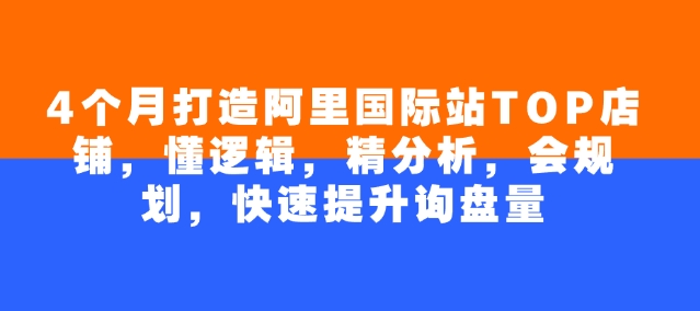 4个月打造阿里国际站TOP店铺，懂逻辑，精分析，会规划，快速提升询盘量-小才子资源