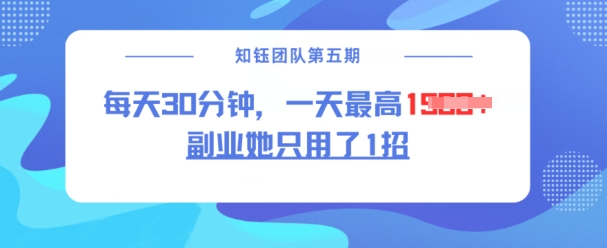 副业她只用了1招，每天30分钟，无脑二创，一天最高1.5k-小才子资源