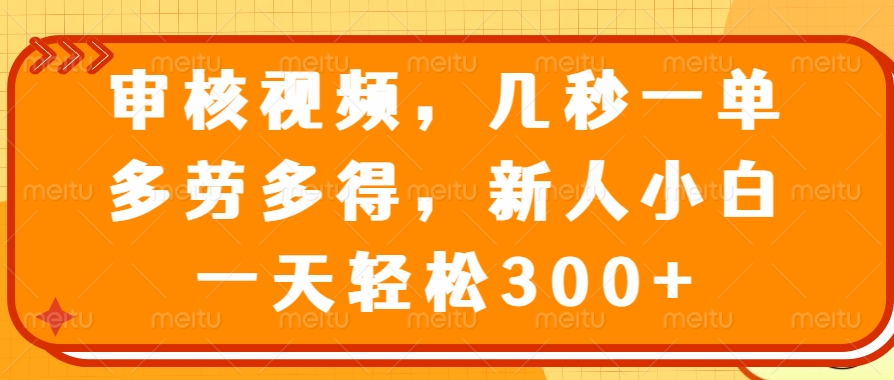 （14294期）审核视频，几秒一单，多劳多得，新人小白一天轻松300+-小才子资源