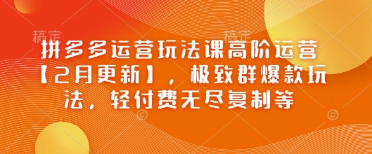 拼多多运营玩法课高阶运营【2月更新】，极致群爆款玩法，轻付费无尽复制等-小才子资源