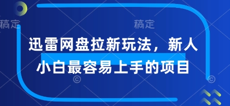 迅雷网盘拉新玩法，新人小白最容易上手的项目-小才子资源