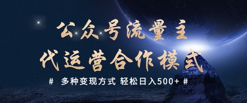 公众号流量主代运营  多种变现方式 轻松日入5张【揭秘】-小才子资源